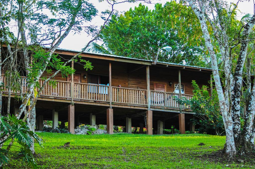The Log Cab-Inn San Ignacio Kamer foto