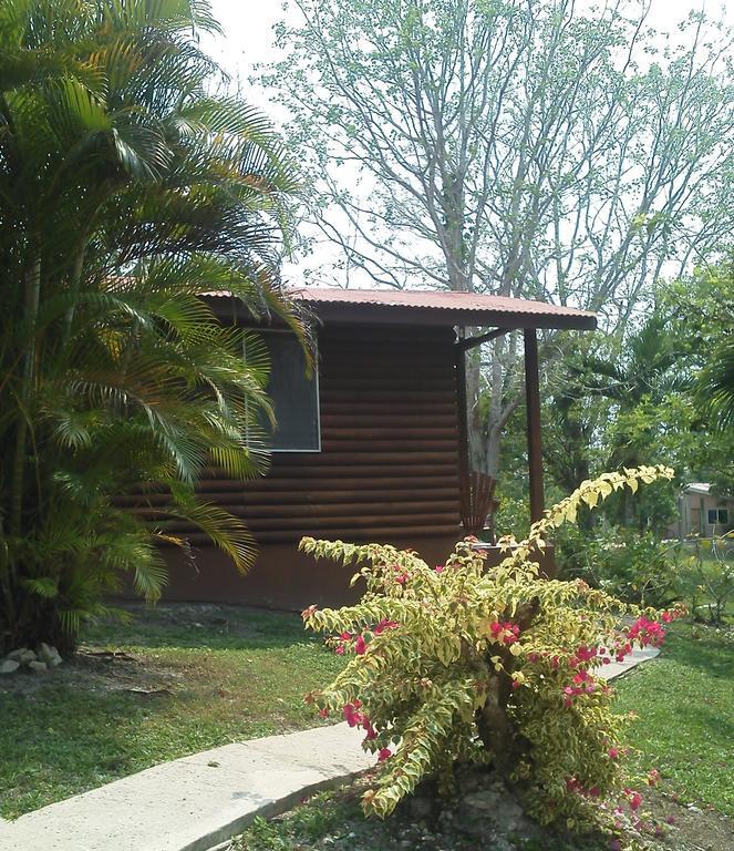 The Log Cab-Inn San Ignacio Kamer foto