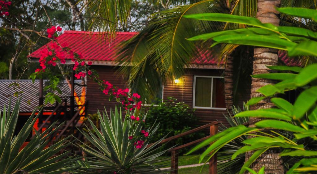 The Log Cab-Inn San Ignacio Kamer foto