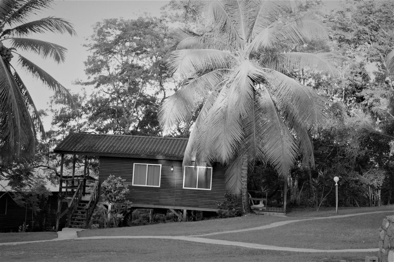 The Log Cab-Inn San Ignacio Buitenkant foto