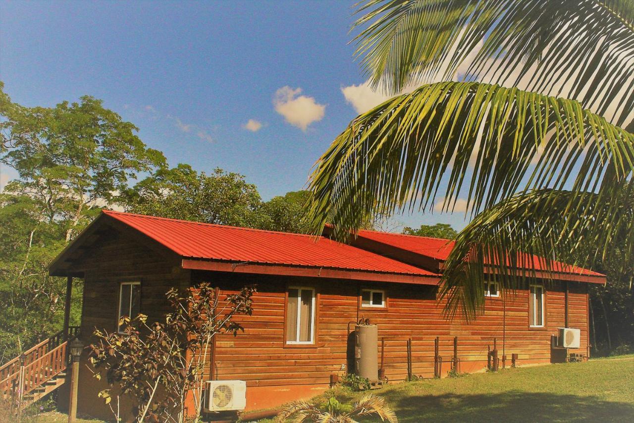 The Log Cab-Inn San Ignacio Buitenkant foto